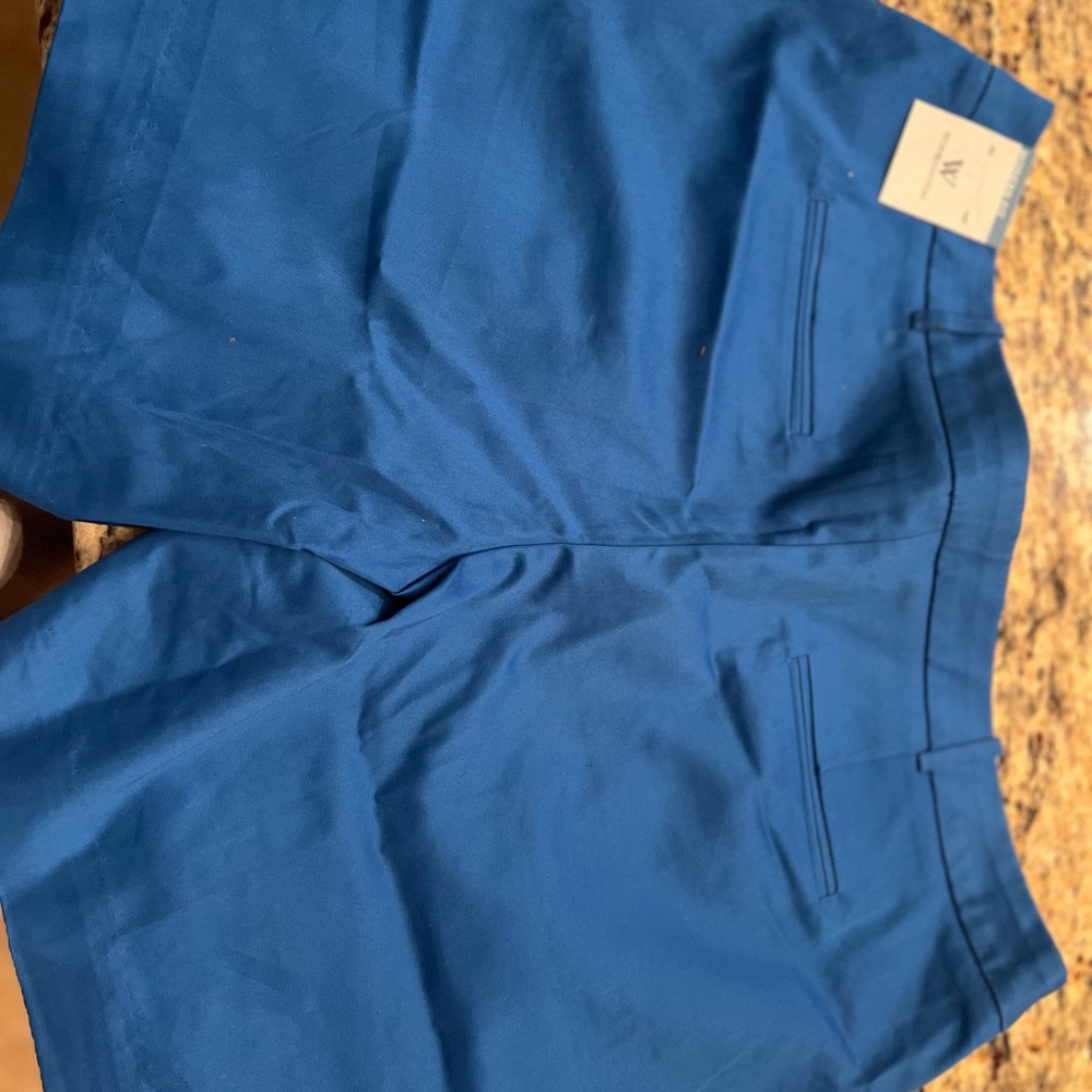 Worthington Women's Blue Shorts